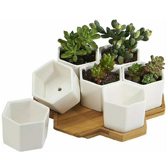Hexagon honeycomb succulent planter - Picture 2 of 6